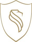 Kingdom Football Boots logo